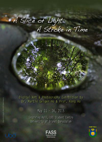 Cover of A Slice of Light: A Stroke in Time