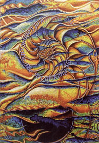 Cover of The Beauty of Complexity: The Art of Kong Ho