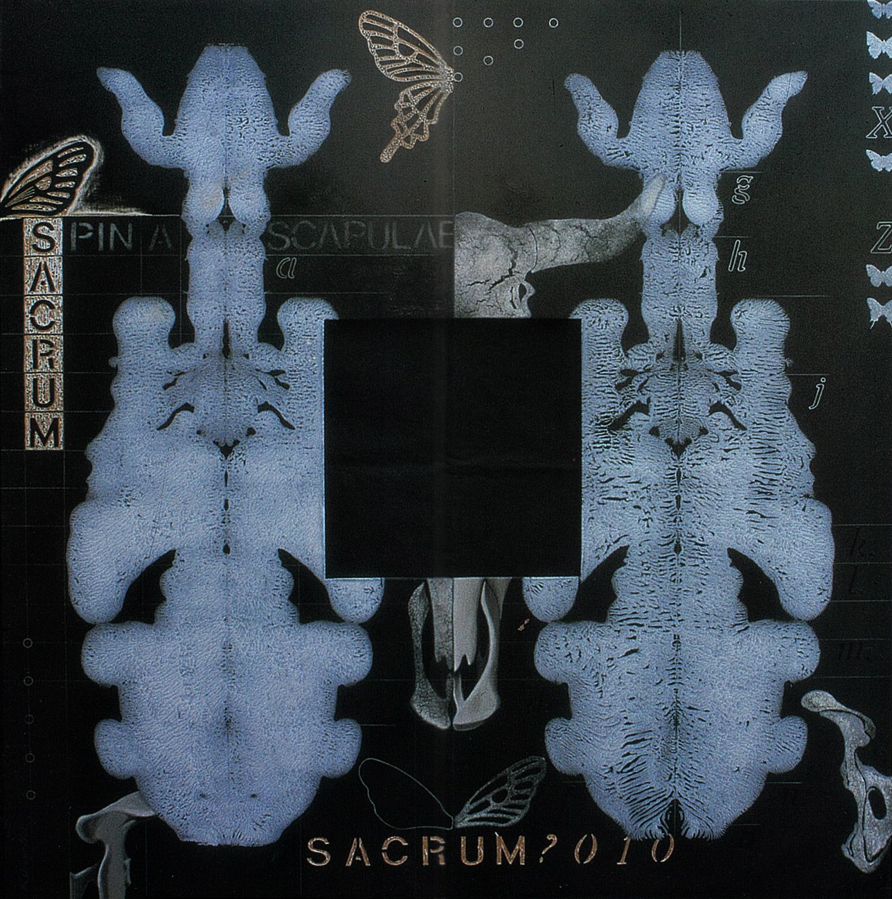 Double Bulls and Sacrum, 1996, by Kong Ho