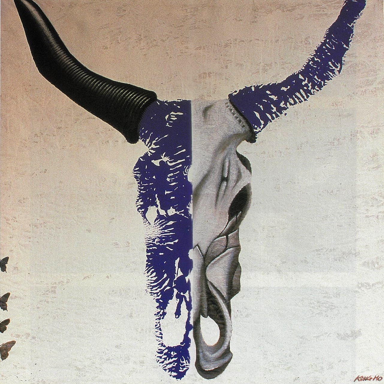Ox's Skull on White, 1997, by Kong Ho